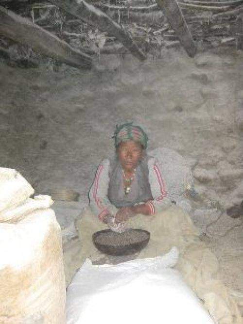 TREKKING IN MUSTANG 2010
